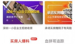 楼市频道爆料视频最新版,揭秘最新爆料视频背后的楼市真相