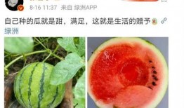 吃瓜娱乐圈什么情况,揭秘吃瓜群众关注的最新热点事件
