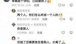 菲律宾网友爆料视频播放,视频揭露惊人真相，引发社会热议！